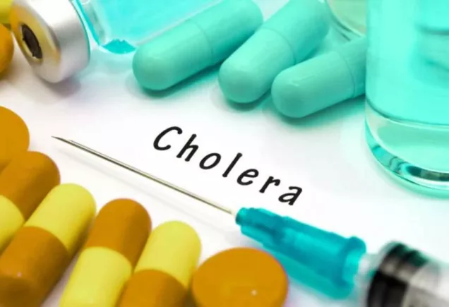 Nigeria don achieve significant decline for di cholera case fatality rate (CFR), wey drop to 2.9 percent, reflecting ongoing efforts to combat di deadly disease.